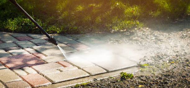 Best Animal Enclosure Cleaning  in Washington Park, FL